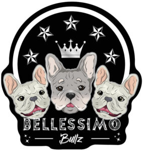 10-bellessimo